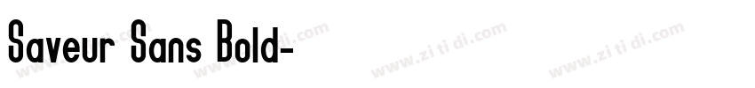 Saveur Sans Bold字体转换